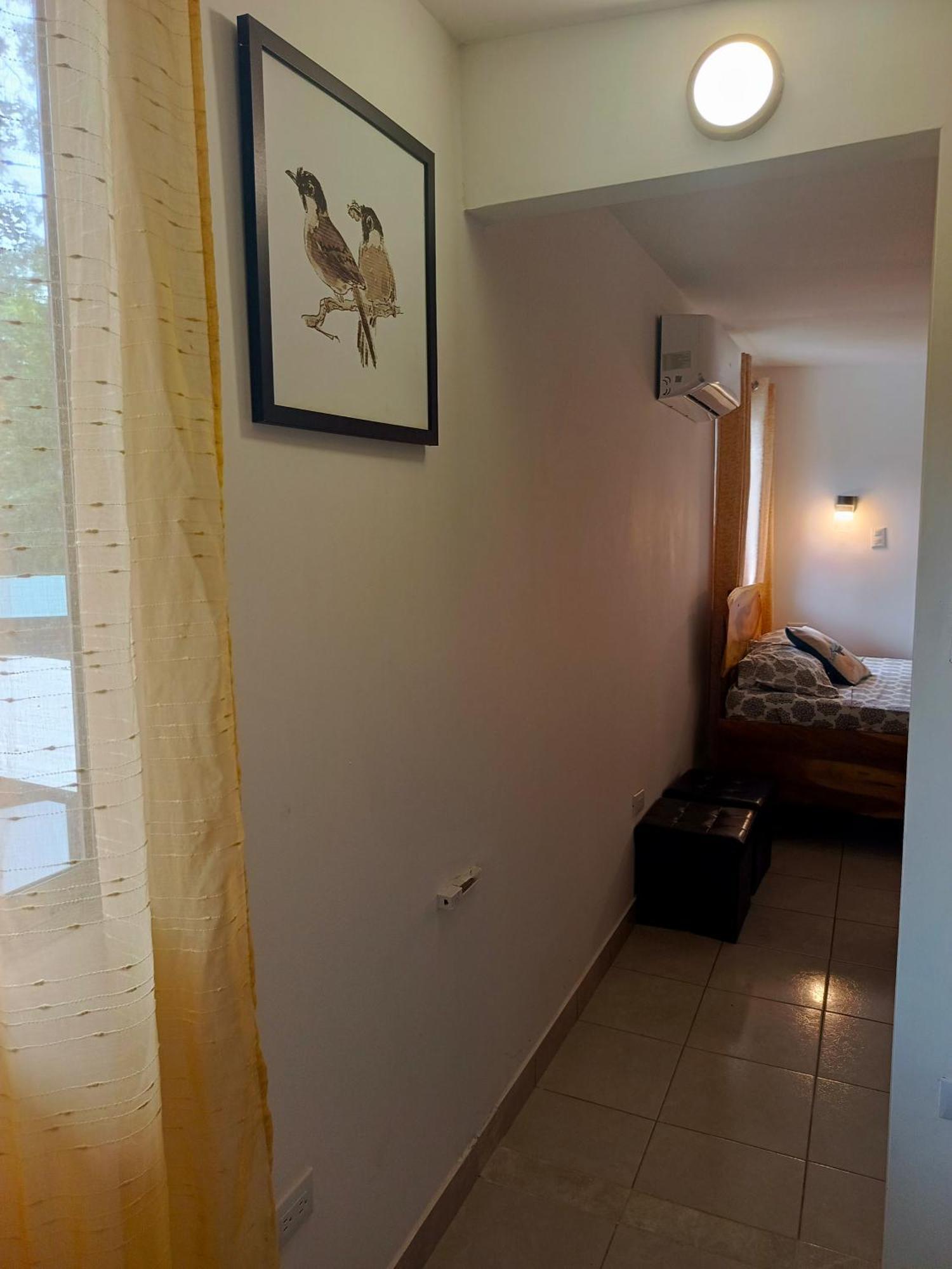 Hotel Boutique D Angelo Manzanillo  Exteriér fotografie