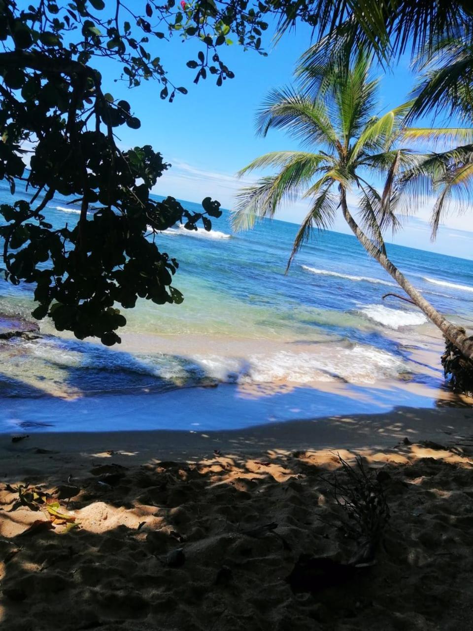 Hotel Boutique D Angelo Manzanillo  Exteriér fotografie